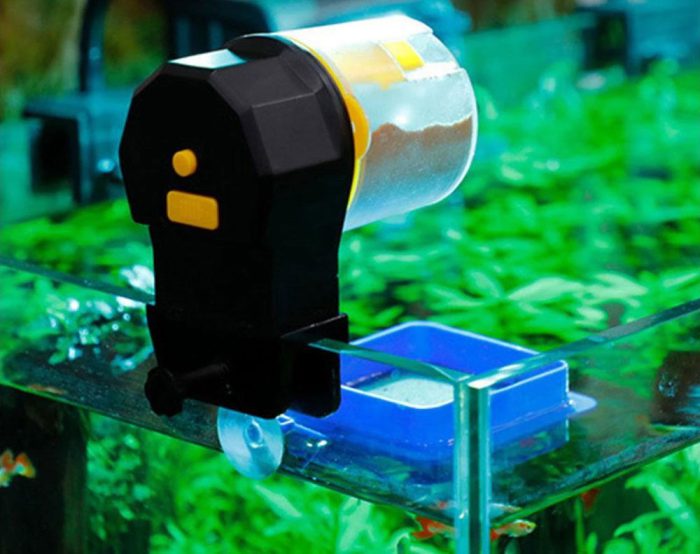 Automatic Fish Feeder with 2 Dispensers