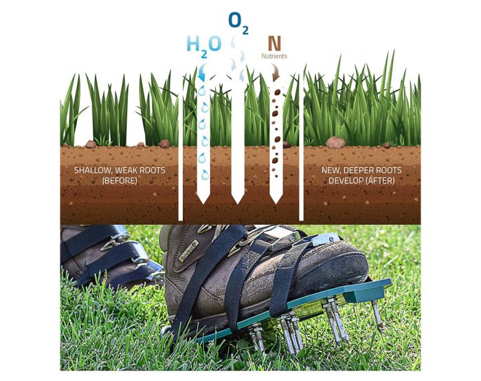 Lawn Aerator Shoe