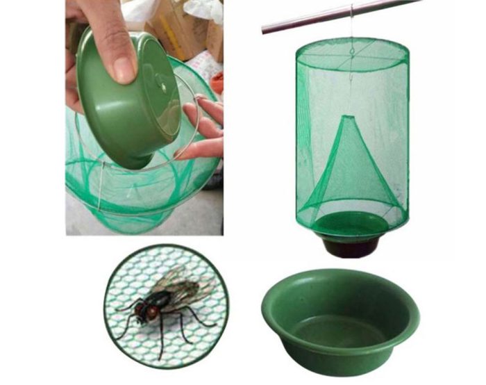 Fly Traps x 4