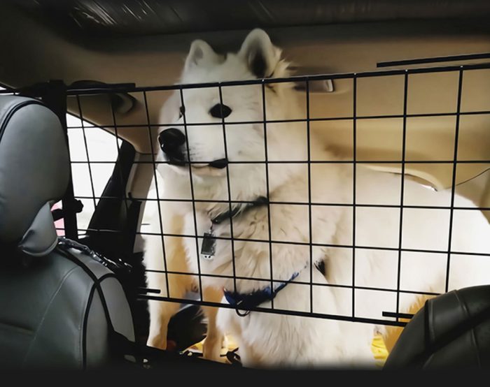 Adjustable Pet Safety Barrier for SUV