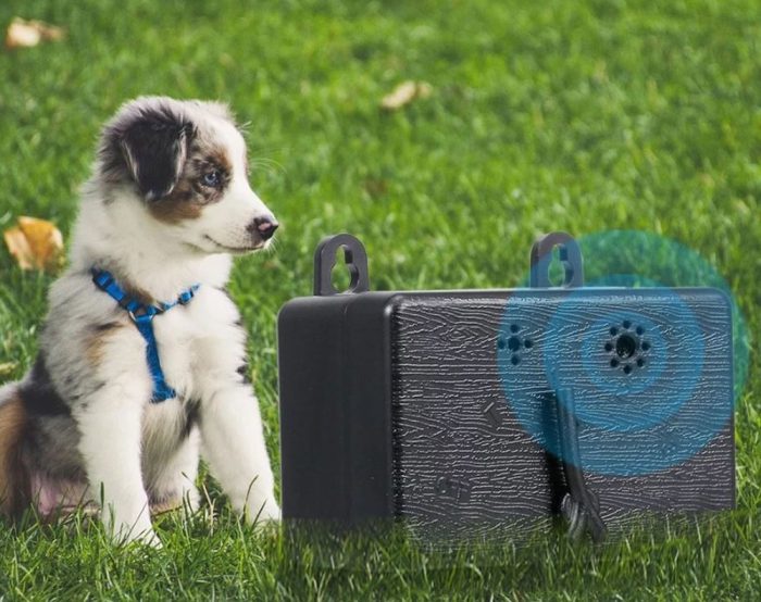 Barking Anti Bark Silencer