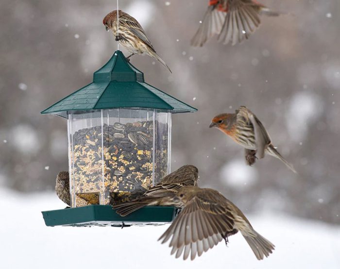 Green Hanging Wild Bird Feeder Seed Container Waterproof Gazebo Shape Outdoor