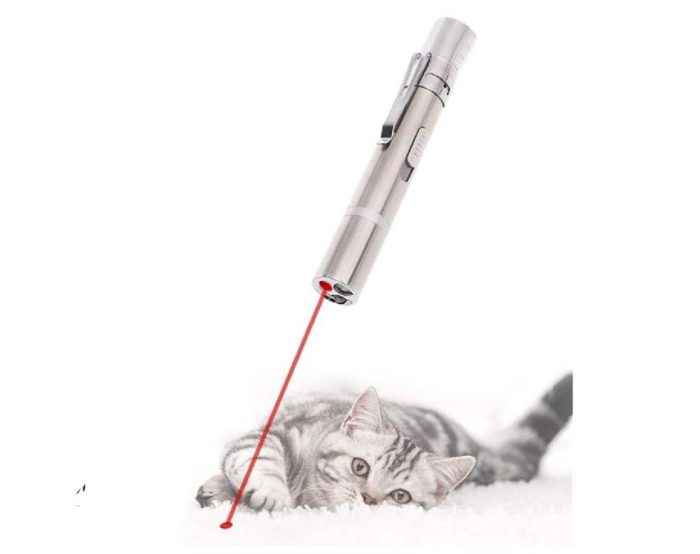 Cat Toy Laser Flashlight