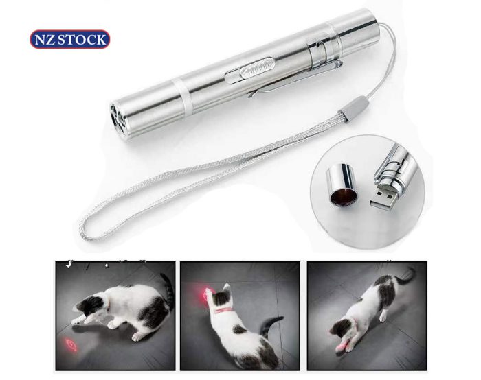 Cat Toy Laser Flashlight