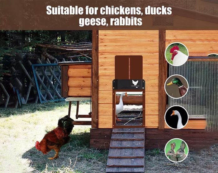 Automatic Chicken Coop Door