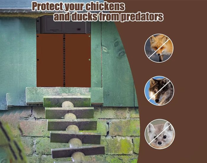 Automatic Chicken Coop Door