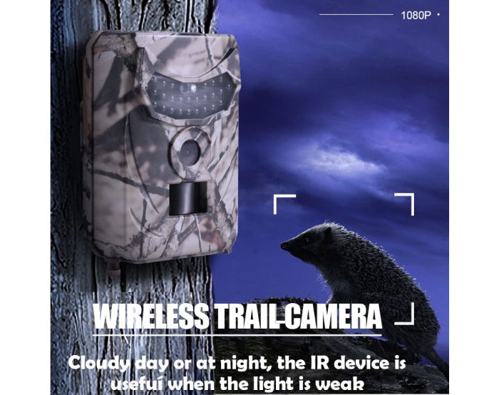 Night Vision Home Security Video Animals Trail Cam