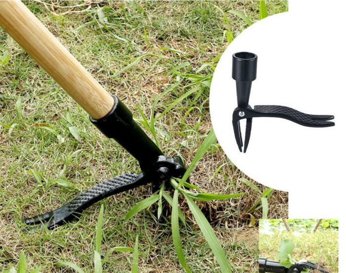 Weed Root Removal Tool