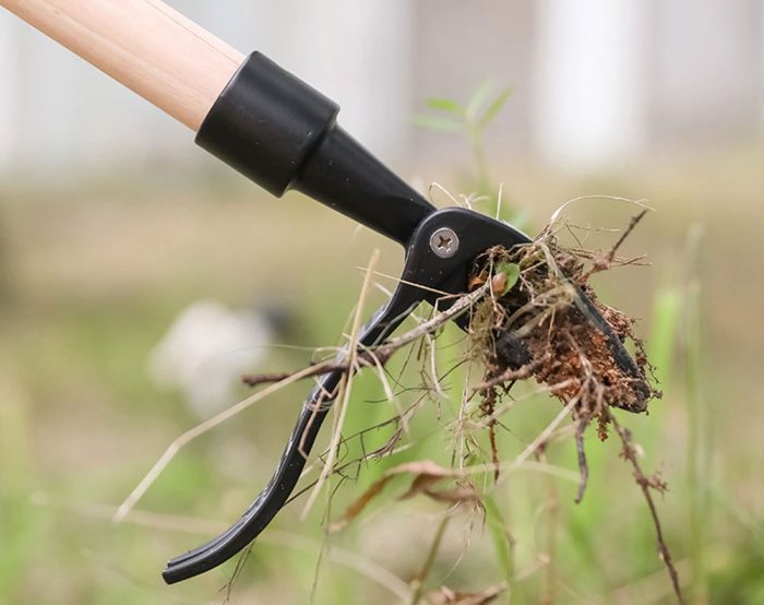 Weed Root Removal Tool