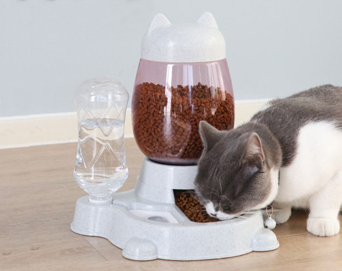 Automatic Cat Feeder 