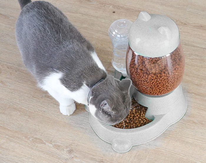 Automatic Cat Feeder 