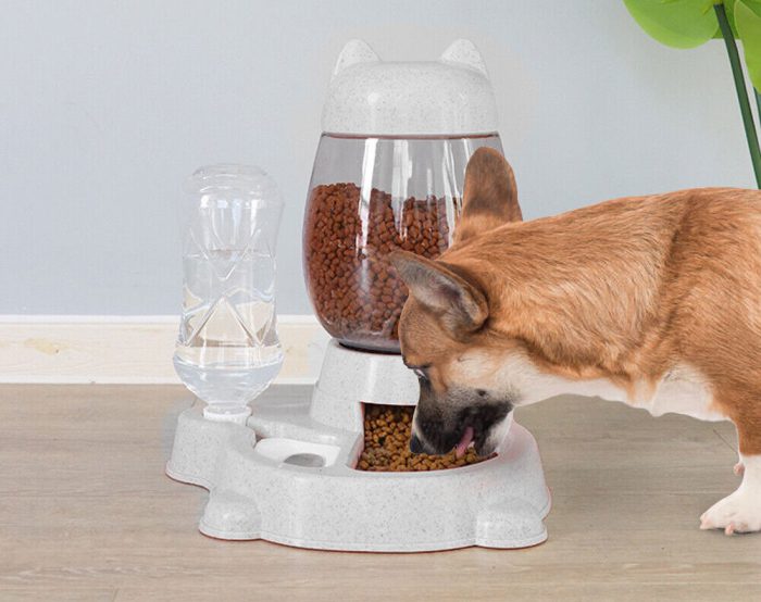 Automatic Cat Feeder 