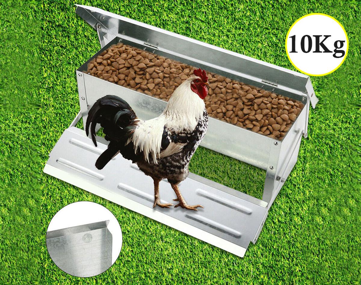 Chicken Feeder 10kg