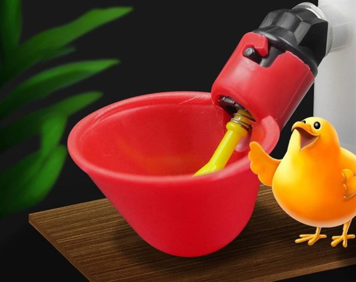 Automatic Poultry Drinker 4pcs