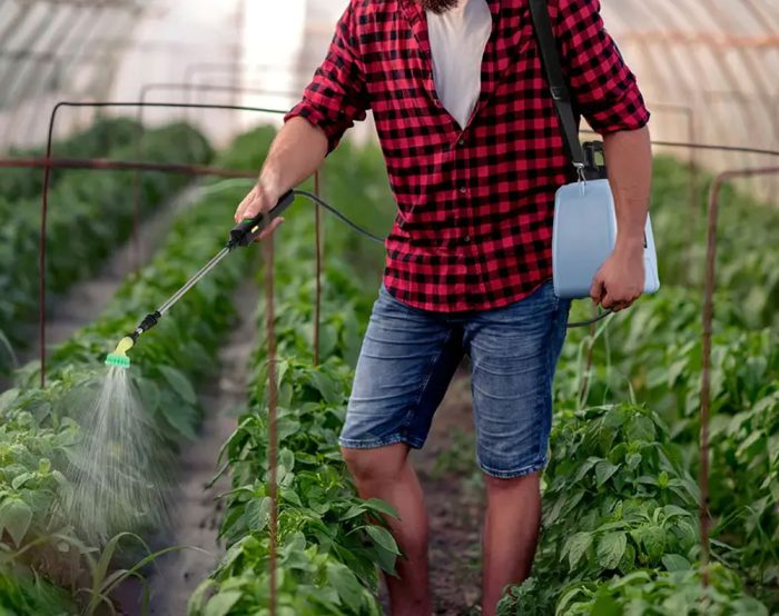 Backpack Weed Sprayer