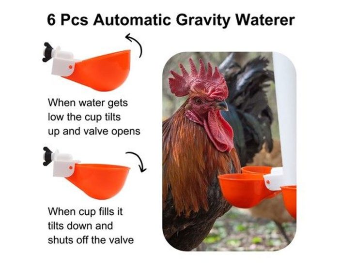 Chicken Feeder & Waterer Set