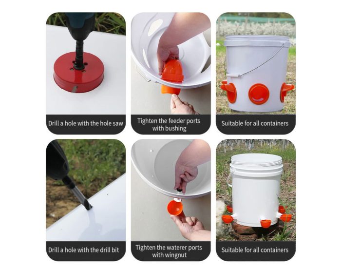 Chicken Feeder & Waterer Set