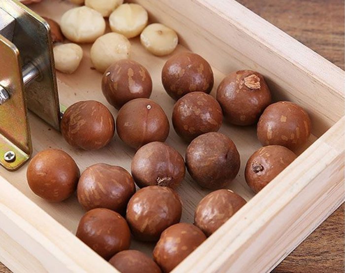 Nut Cracker Macadamia Opener