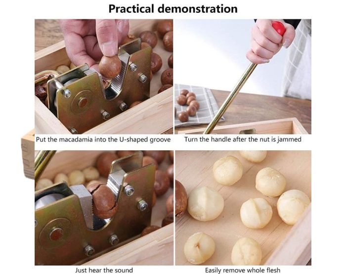 Nut Cracker Macadamia Opener