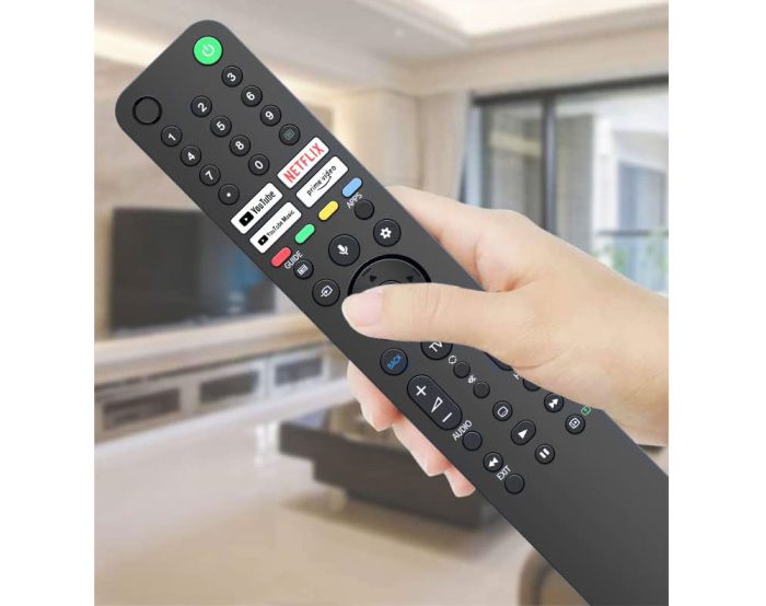 Sony Voice Remote