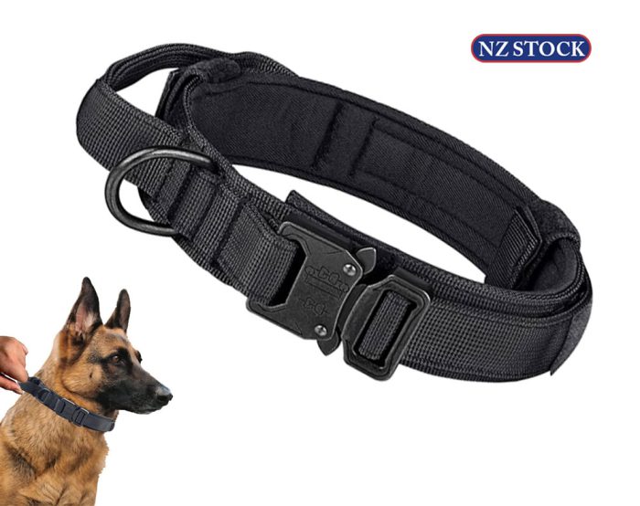 Adjustable Dog Collar