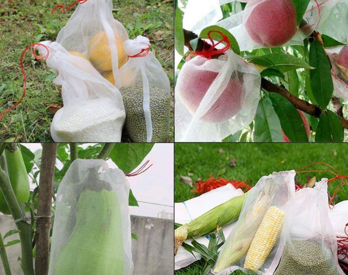 100Pcs Fruit Protection Bags 15x10cm