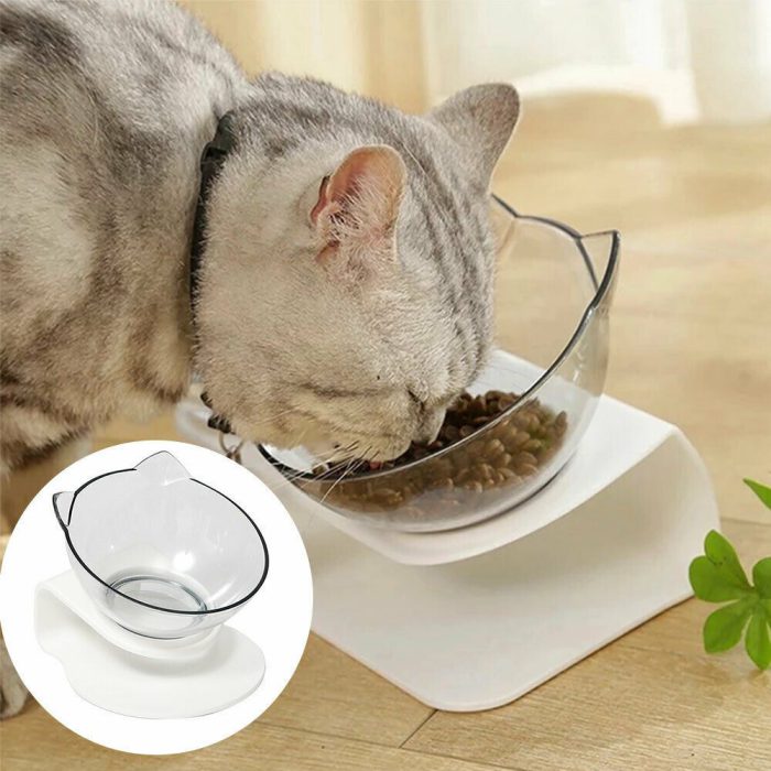 Cat Bowl