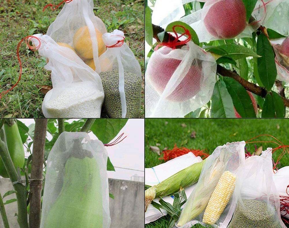 Fruit Bag Net / Fruit Bag