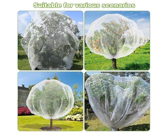 Garden Plant Cover