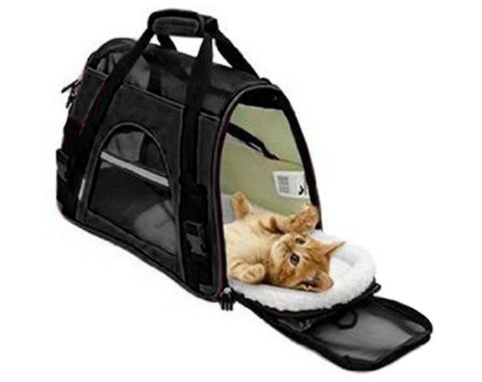 Pet Soft Carrier