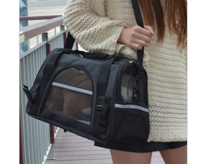 Pet Soft Carrier