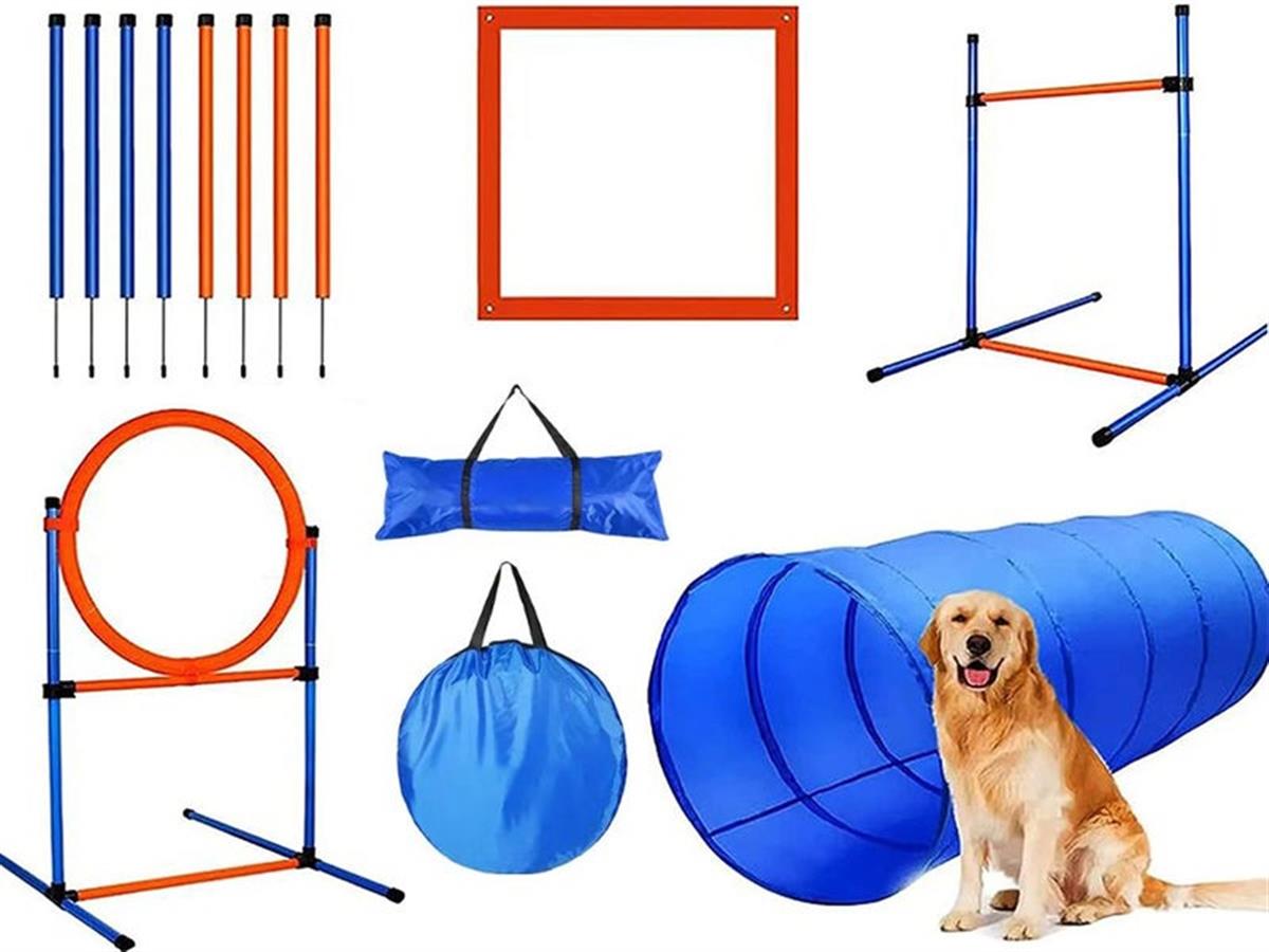 Dog Agility Equipment Set